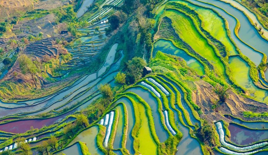 走进夷陵区TVC拍摄：解锁本地化场景与创意镜头的完美融合